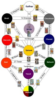 Paths on the Tree of Life