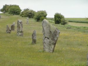 Appropriately named 'The shark', this stone forms part of the West Kennet Avenue leading up to the Avebury circles.