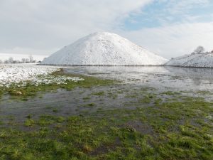 white silbury (1)